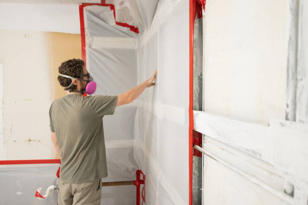 Best Forensic Mold Investigation  in Enon, OH