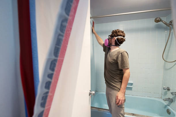Trusted Enon, OH Mold Removal Experts