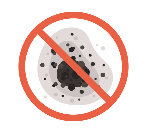 Best Airborne Mold Testing  in Enon, OH